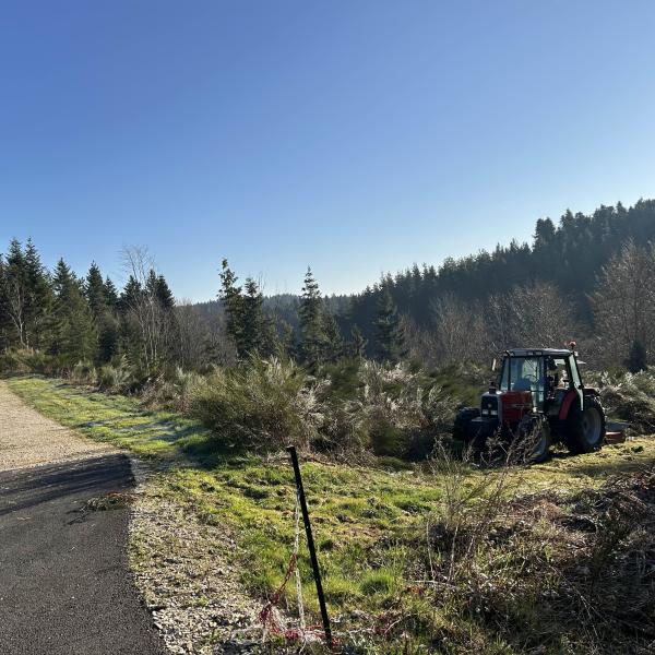 Image avant Défrichage et semis de prairie