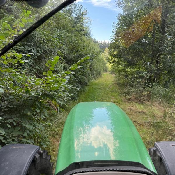 Image avant Débrousaillage d'un chemin