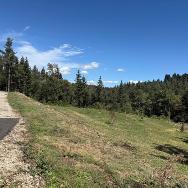 Image après Défrichage et semis de prairie