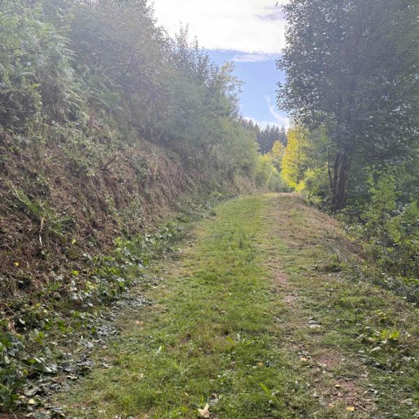 Image après Débrousaillage d'un chemin