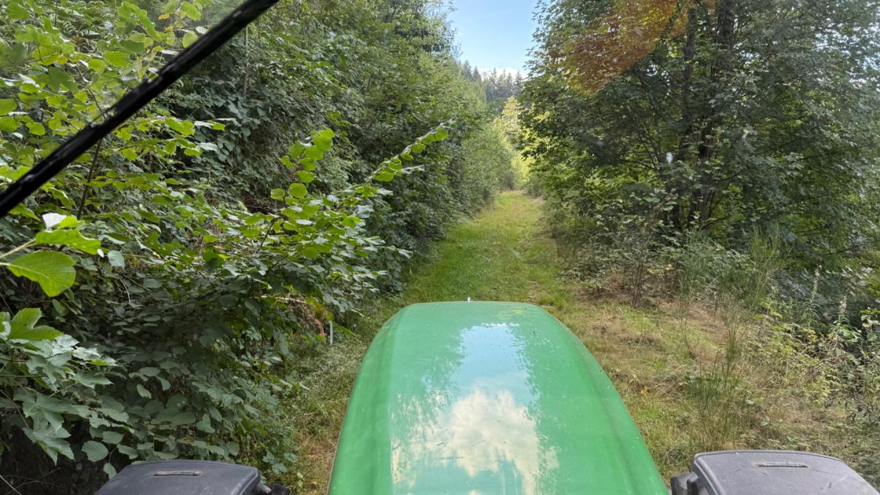 Image avant Débrousaillage d'un chemin