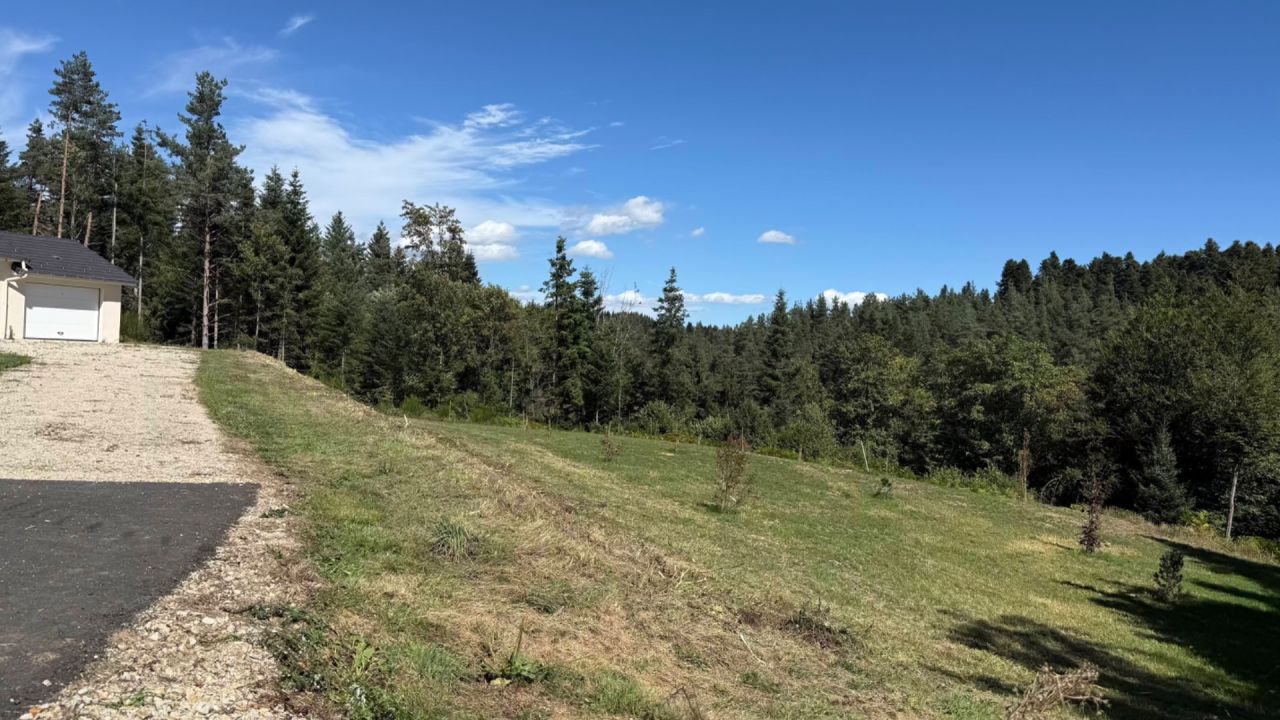 Image après Défrichage et semis de prairie