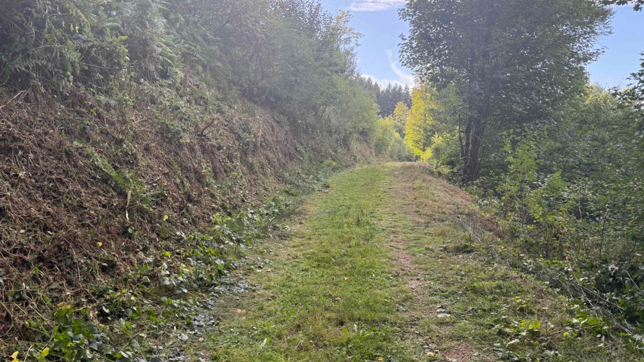 Image après Débrousaillage d'un chemin