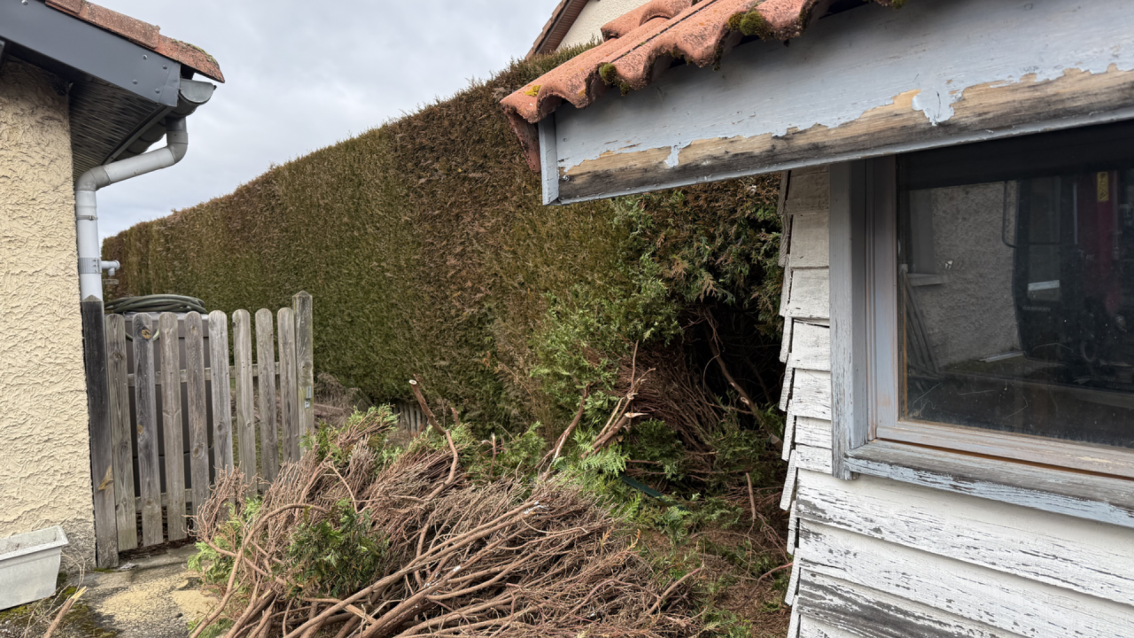 Image avant Préparation de terrain pour acceuillir un car port